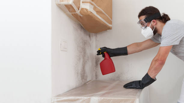Professional Mold Removal technician working in Rawlings, VA